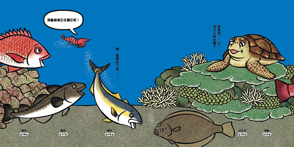 Why are They Lining Up on the Ocean Floor? • 海底在排什麼呢？