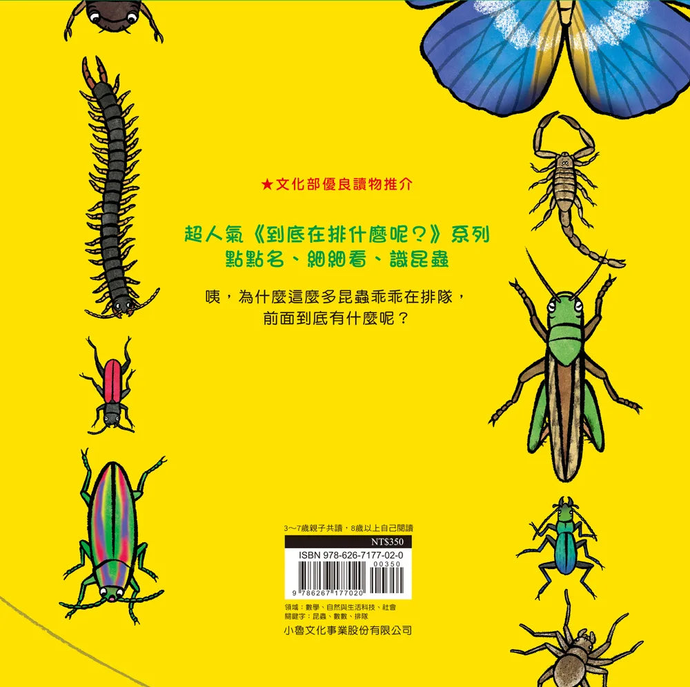 Why are the Insects Lining Up? • 昆蟲在排什麼呢？