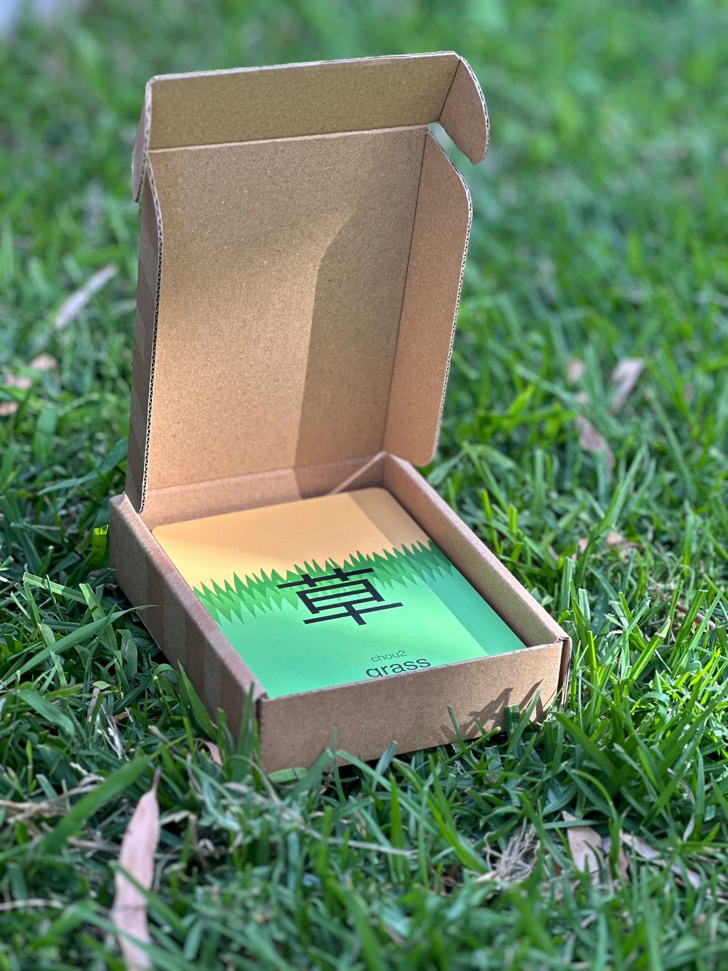 Cantogram - Cantonese Pictogram Flashcards