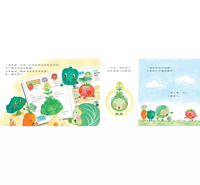 Vegetable Academy Book Bundle (Set of 4) • 蔬菜學校：營養滿分食育繪本(4冊)