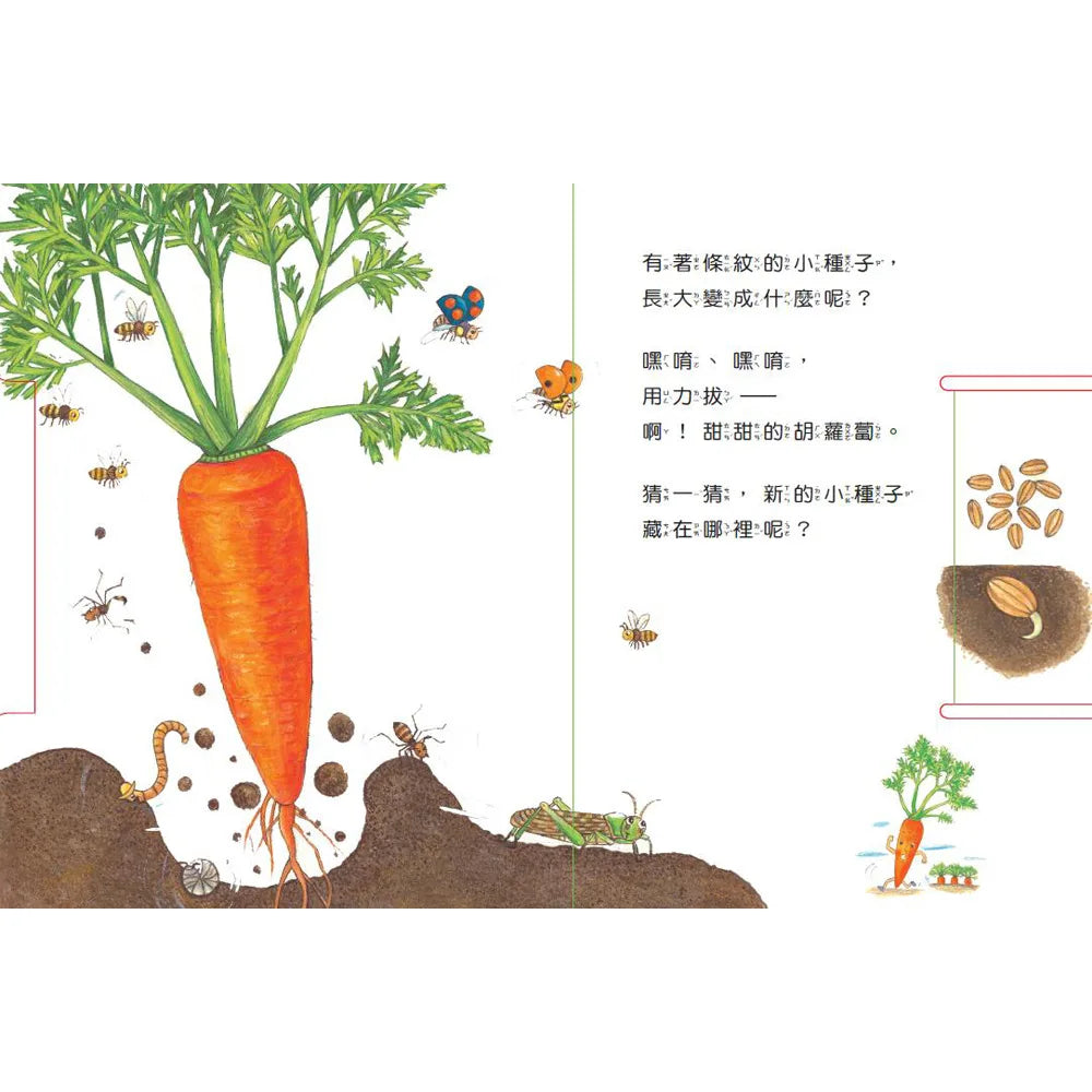 Grow, Little Seed, Grow! (Vegetables Edition) • 小種子，快長大（蔬菜篇）