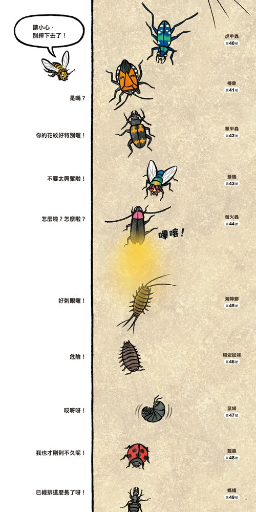 Why are the Insects Lining Up? • 昆蟲在排什麼呢？