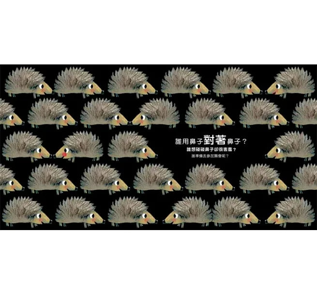 Odd One Out Bundle (Set of 2) • 誰最聰明？套書 (兩冊)