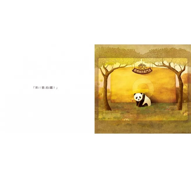 The Photo Studio in the Woods • 森林照相館