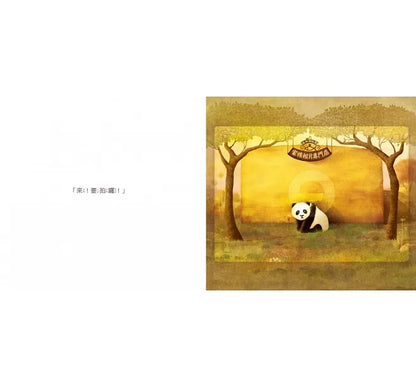 The Photo Studio in the Woods • 森林照相館