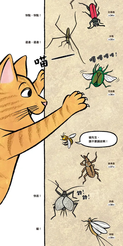 Why are the Insects Lining Up? • 昆蟲在排什麼呢？