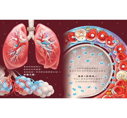 Follow Your Heart: Blood on the Body Planet • 心臟噗通噗通：血液的身體大冒險