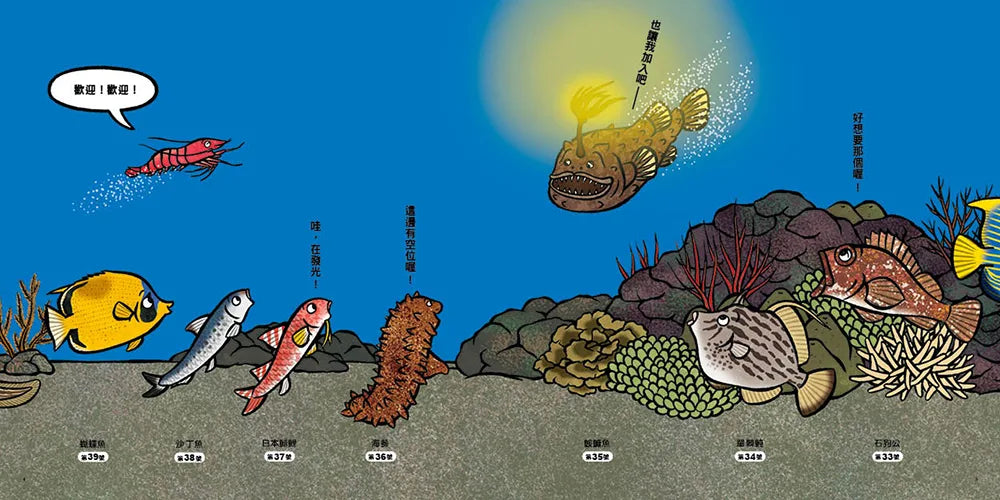 Line Up & Observe Collection (Set of 4) • 排隊大集合！超人氣識物百科：到底在排什麼呢？+超級大塞車+昆蟲在排什麼呢？+海底在排什麼呢？